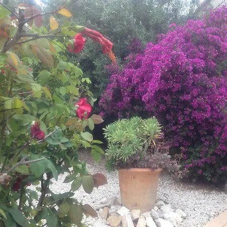 Bed & Breakfast Casa Eire Fanadix